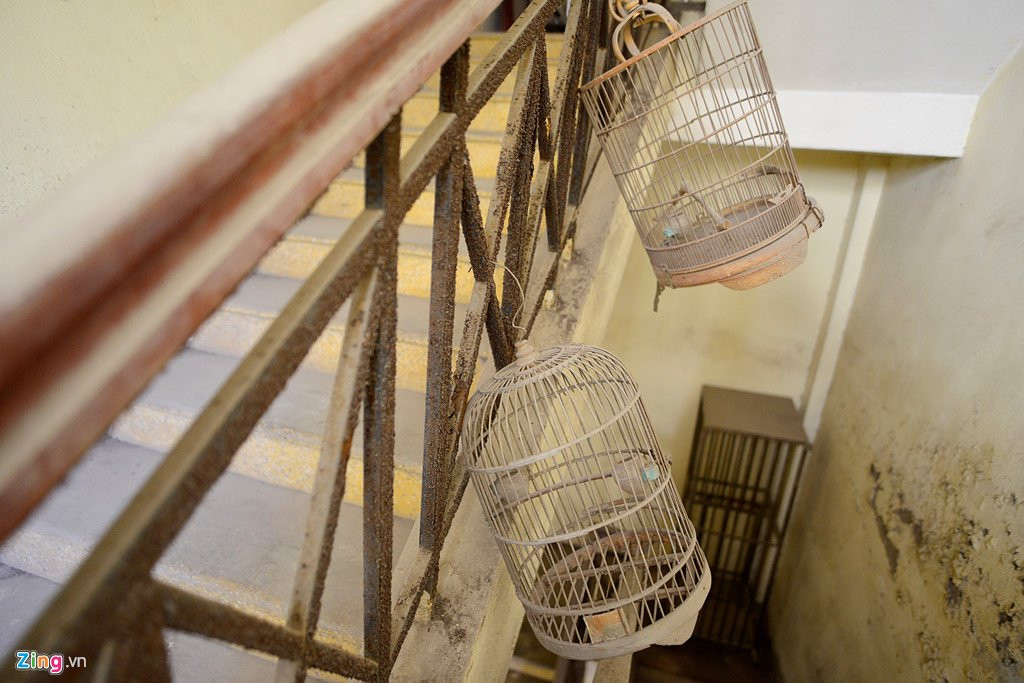 Canh nuoi ga, trong rau trong chung cu o Ha Noi hinh anh 16