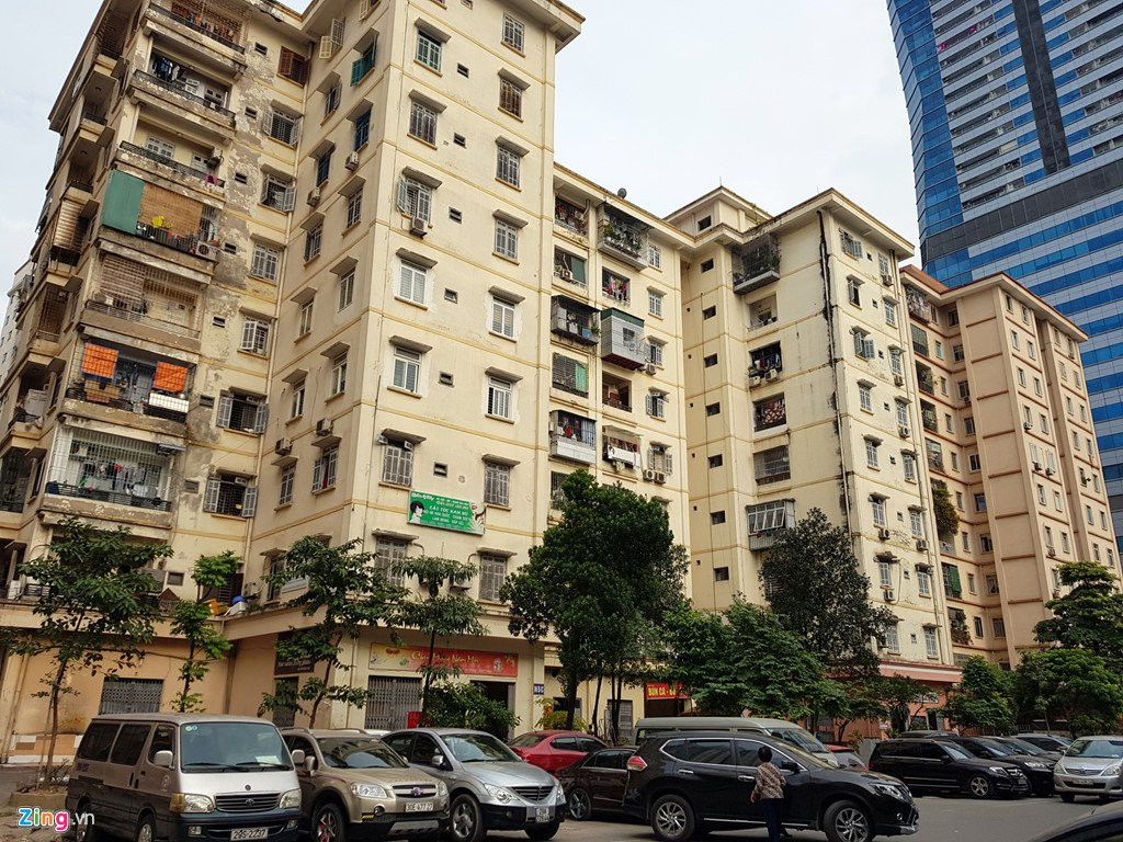 Canh nuoi ga, trong rau trong chung cu o Ha Noi hinh anh 1