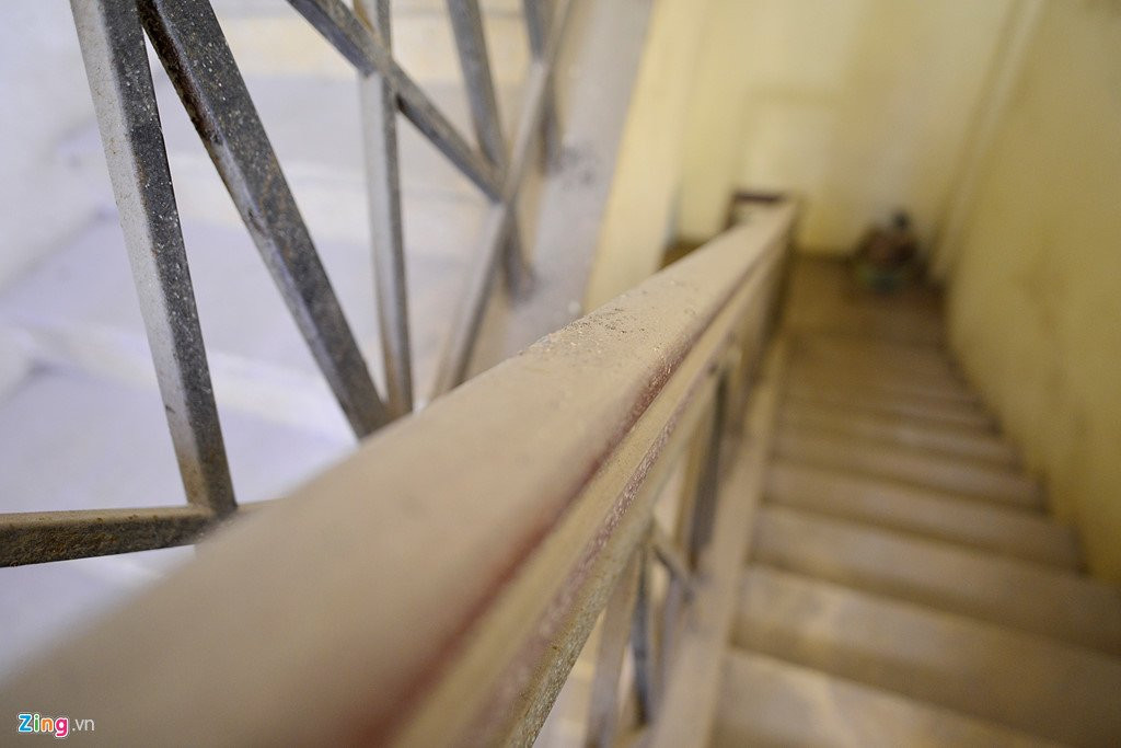 Canh nuoi ga, trong rau trong chung cu o Ha Noi hinh anh 4