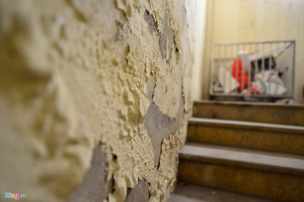 Canh nuoi ga, trong rau trong chung cu o Ha Noi hinh anh 6