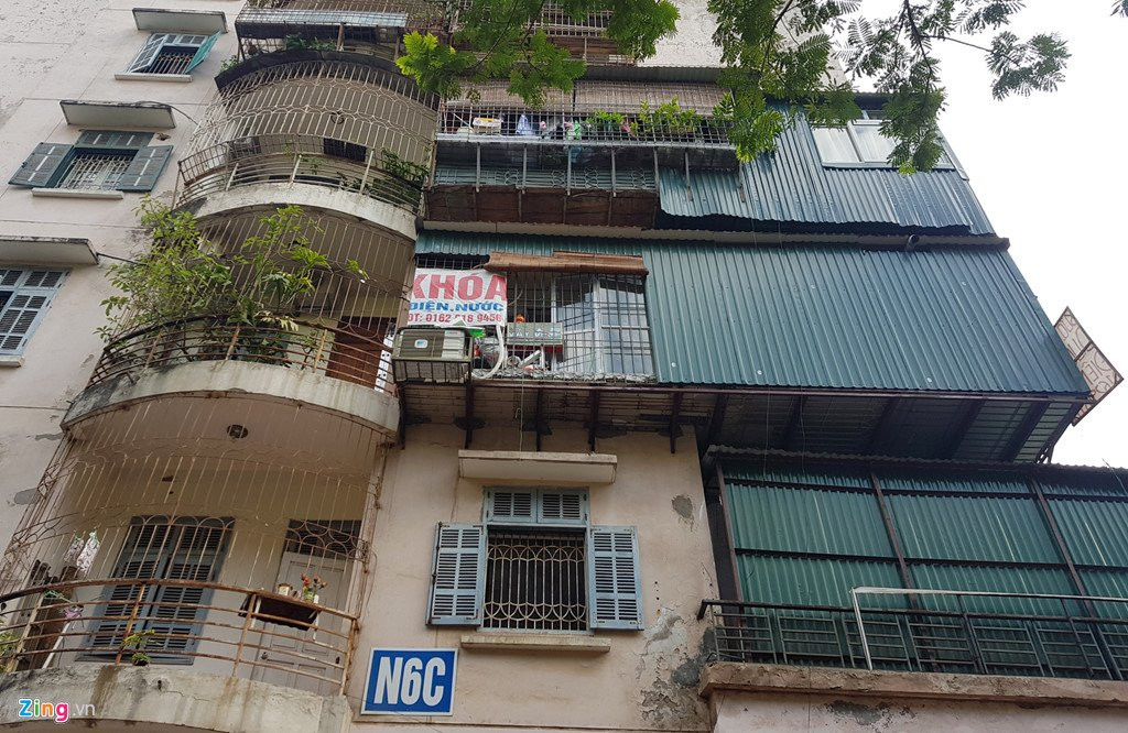 Canh nuoi ga, trong rau trong chung cu o Ha Noi hinh anh 7