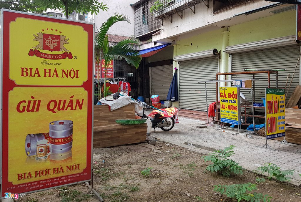 Canh nuoi ga, trong rau trong chung cu o Ha Noi hinh anh 8