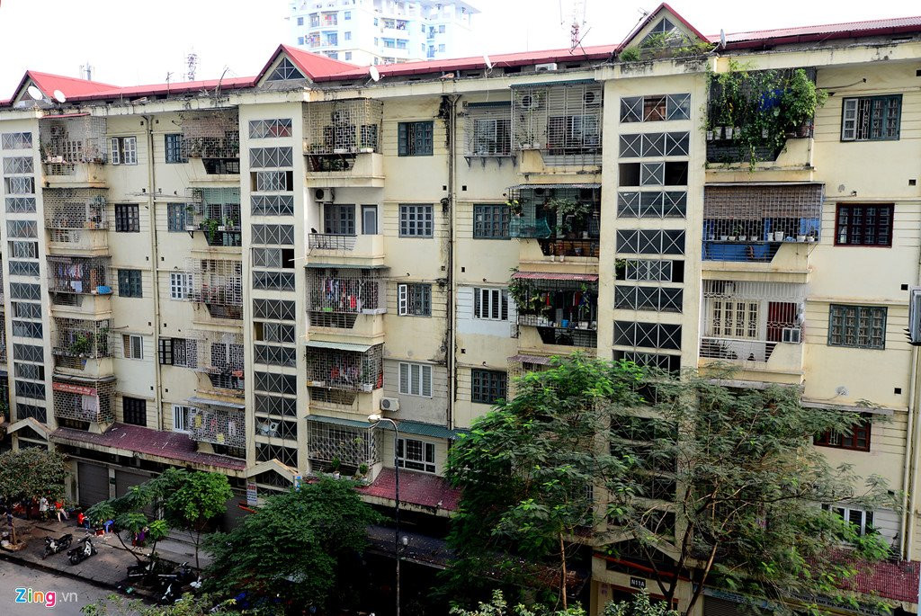 Canh nuoi ga, trong rau trong chung cu o Ha Noi hinh anh 10