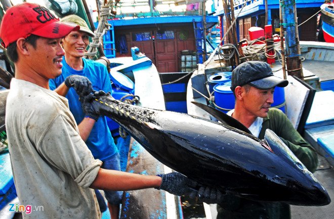 Pho thu tuong mong EU som go bo 'the vang' cho thuy san Viet Nam hinh anh 1