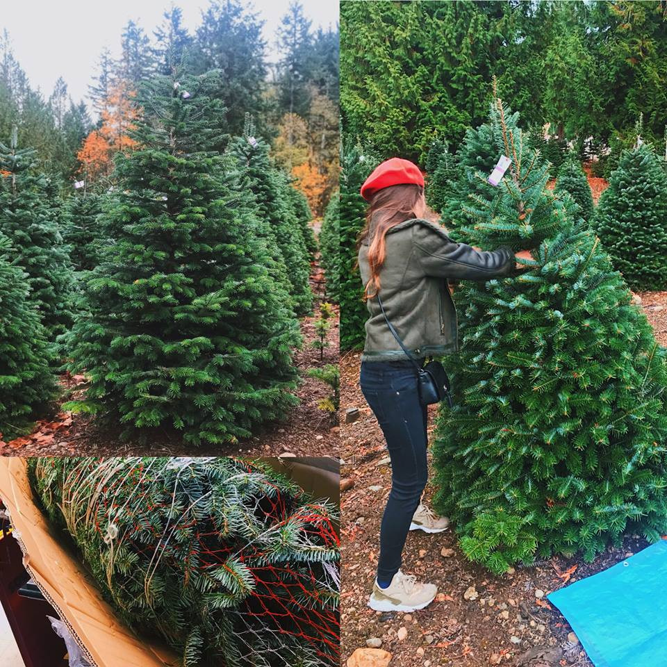 cây thông noel,thị trường giáng sinh,đồ chơi giáng sinh,cây thông giáng sinh,cây thông trang trí,cây thông