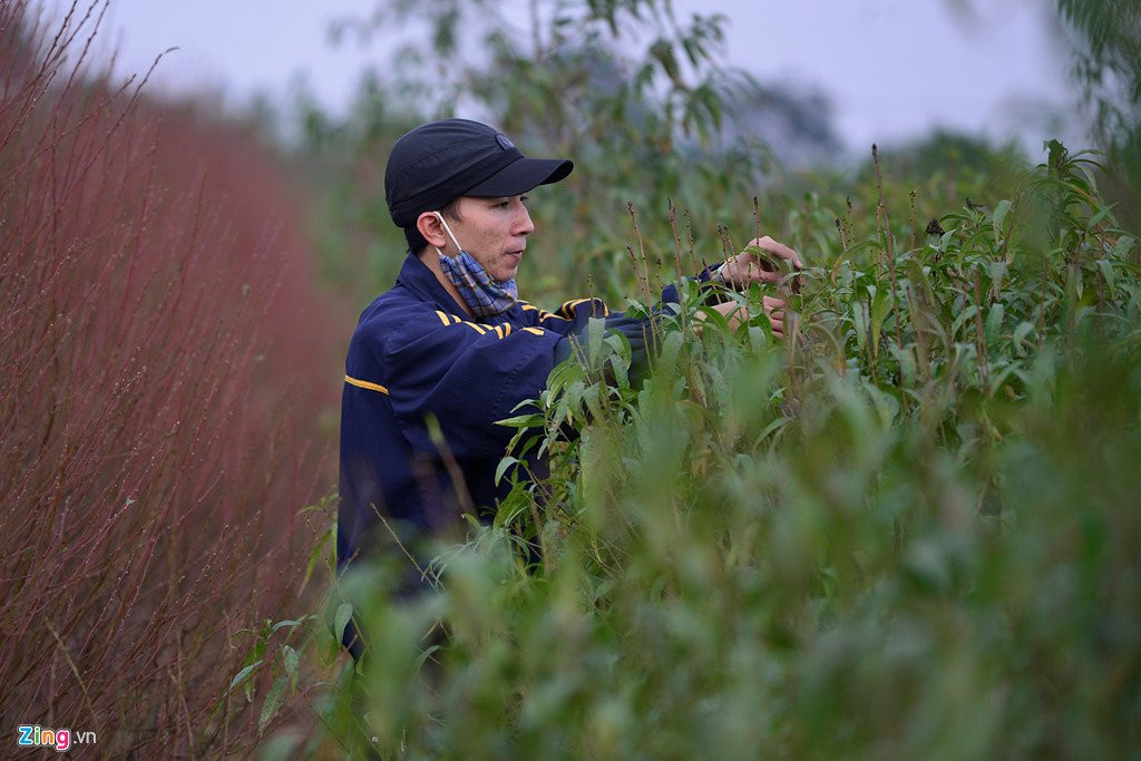 Dao no som o vuon hoa noi tieng thu do hinh anh 3