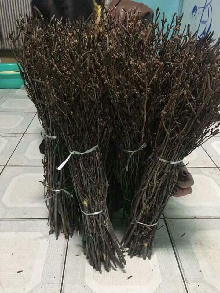 26239684_105470400263693_3717604583886076747_n 5