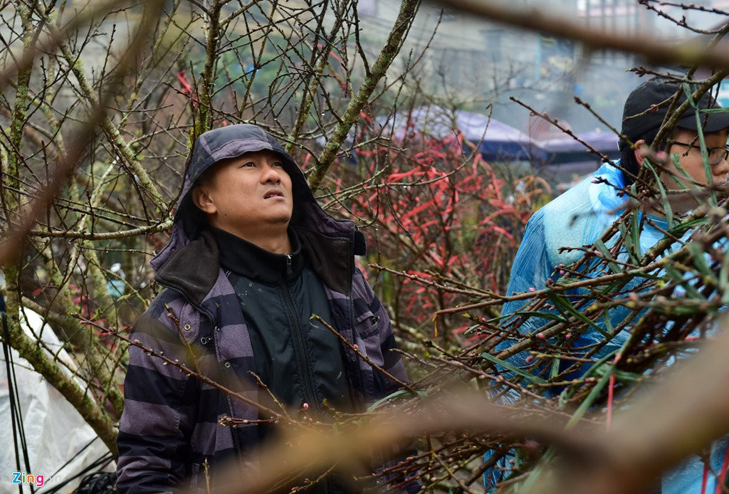 Nam nhuan, dao rung Sa Pa no som, gia tang cao truoc khi ra cho Tet hinh anh 11