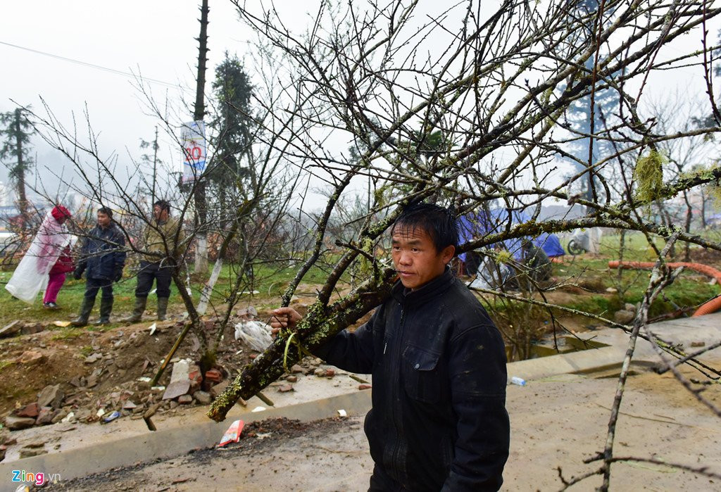Nam nhuan, dao rung Sa Pa no som, gia tang cao truoc khi ra cho Tet hinh anh 4