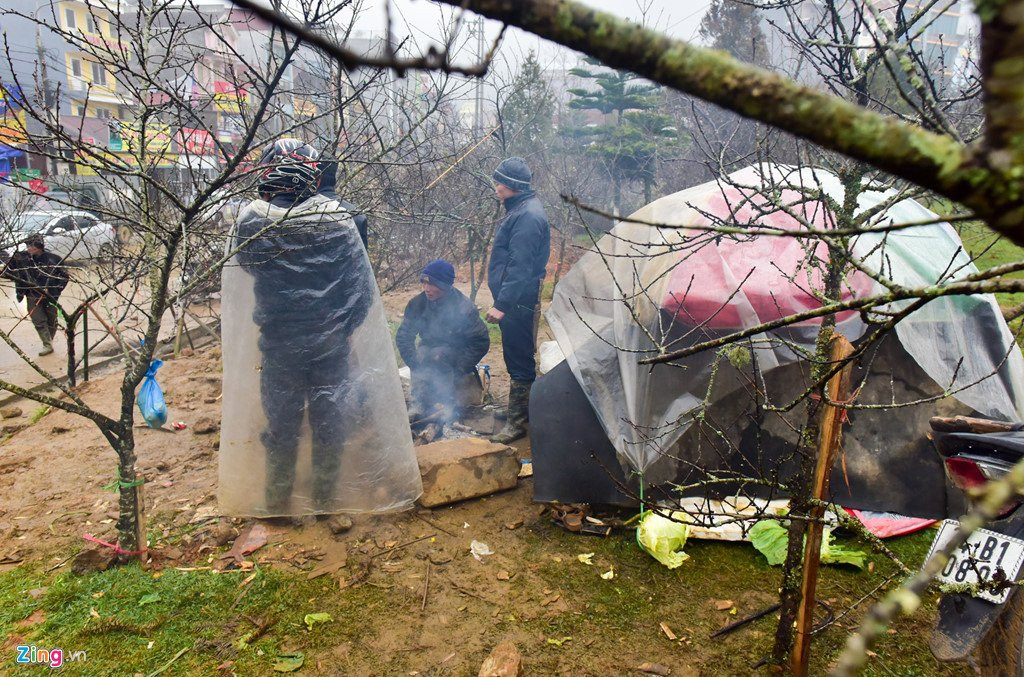 Nam nhuan, dao rung Sa Pa no som, gia tang cao truoc khi ra cho Tet hinh anh 7