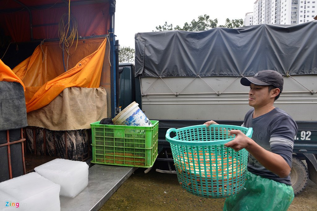 Cho ca lon nhat Ha Noi tap nap truoc ngay Tao quan chau troi hinh anh 2