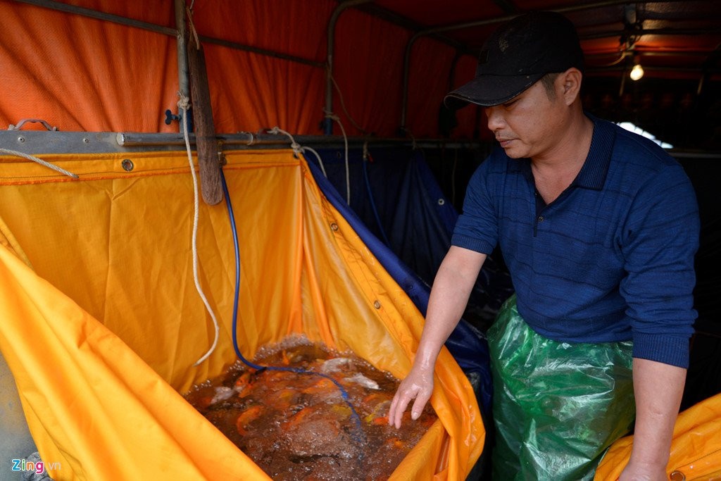 Cho ca lon nhat Ha Noi tap nap truoc ngay Tao quan chau troi hinh anh 8