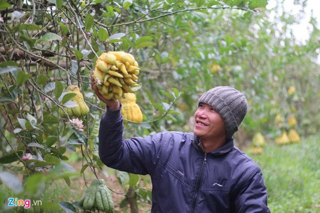 Phat thu chin som, qua dep gia 2 trieu, nguoi trong lo that thu hinh anh 1