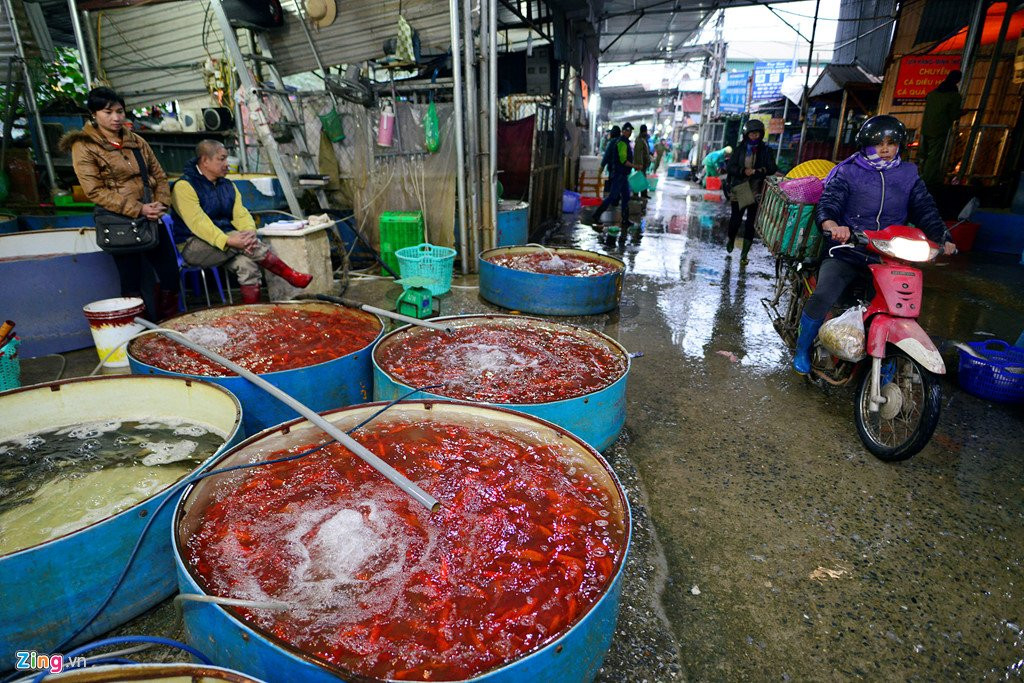 Cho ca lon nhat Ha Noi tap nap truoc ngay Tao quan chau troi hinh anh 4