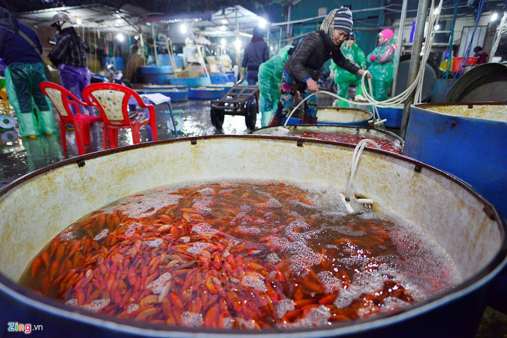 Cho ca lon nhat Ha Noi tap nap truoc ngay Tao quan chau troi hinh anh 6