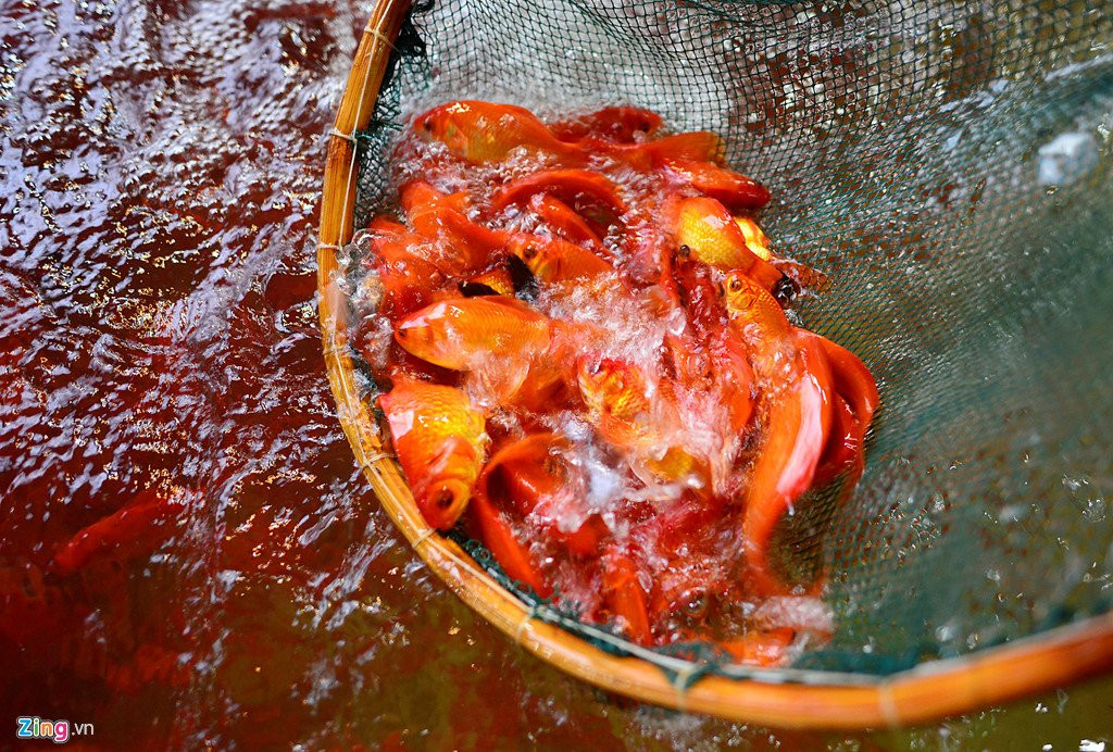 Cho ca lon nhat Ha Noi tap nap truoc ngay Tao quan chau troi hinh anh 7