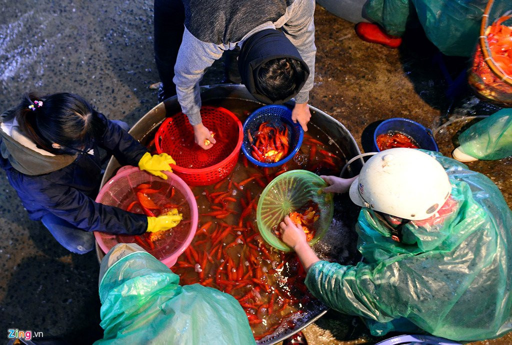 Cho ca lon nhat Ha Noi tap nap truoc ngay Tao quan chau troi hinh anh 9