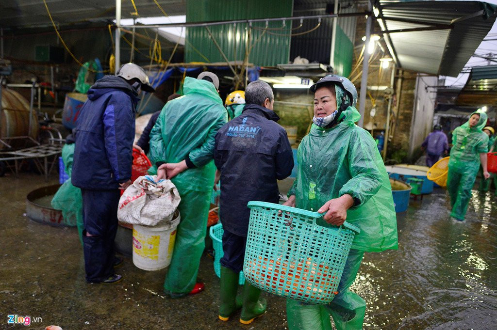 Cho ca lon nhat Ha Noi tap nap truoc ngay Tao quan chau troi hinh anh 10