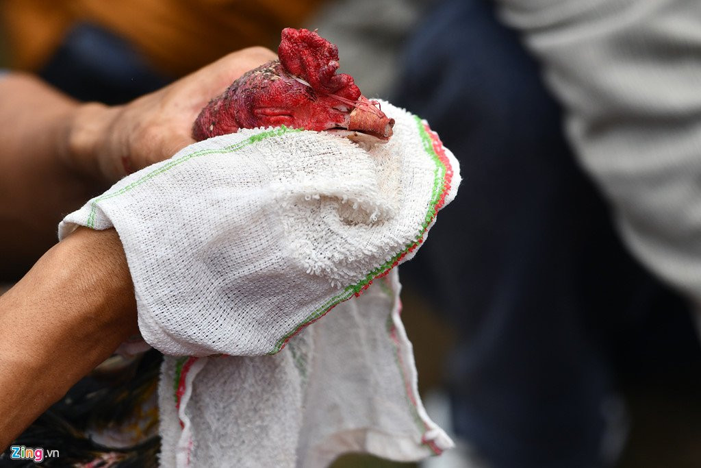 Nghin nguoi co mat o san choi ga ngay dau nam moi hinh anh 8