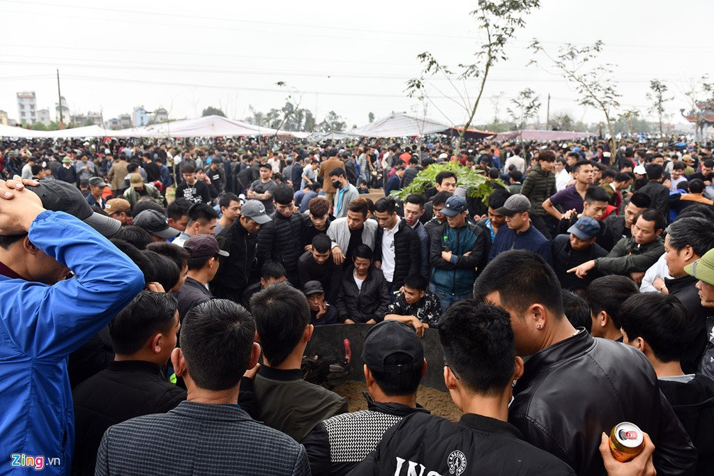 Nghin nguoi co mat o san choi ga ngay dau nam moi hinh anh 2