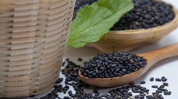 Đặng Lê Nguyên Vũ,thiền,nhịn ăn,Phùng Tuấn Giang