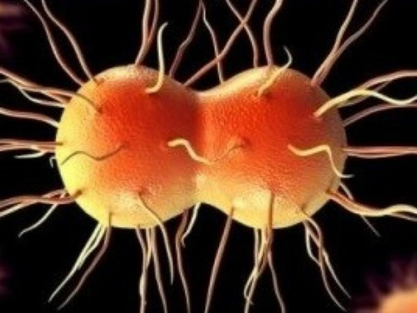 Dùng chung khăn, chăn đệm tại nhà nghỉ “giá bèo”, cẩn thận rước bệnh tình dục ai cũng ghê sợ