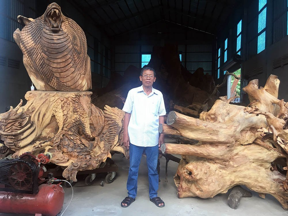 gốc cây quý,gốc cây tiền tỉ,Sóc Trăng