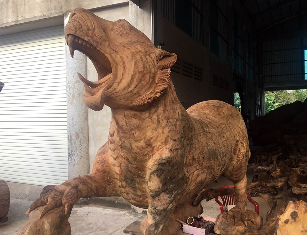 gốc cây quý,gốc cây tiền tỉ,Sóc Trăng