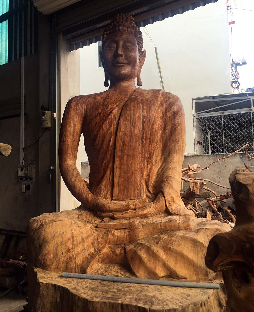 gốc cây quý,gốc cây tiền tỉ,Sóc Trăng