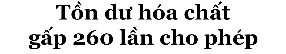 Ky uc - noi niem sau 'tham hoa' chay than lam 8 nguoi chet hinh anh 10