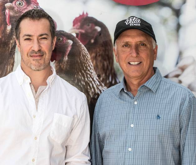 nuôi gà,gà đẻ trứng,trang trại gà