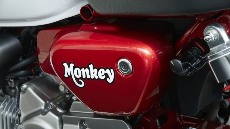 Honda Super Cub va Monkey 125 tro lai My, gia tu 3.600 USD hinh anh 5