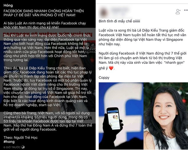 Giam doc facebook Viet Nam cung la nan nhan cua tin gia hinh anh 1