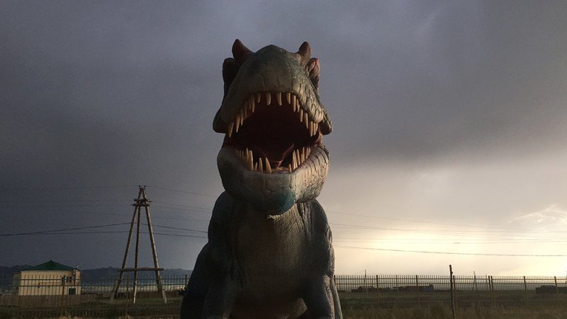 Loat anh chup bang iPhone dep nhat trong nam 2018 hinh anh 16