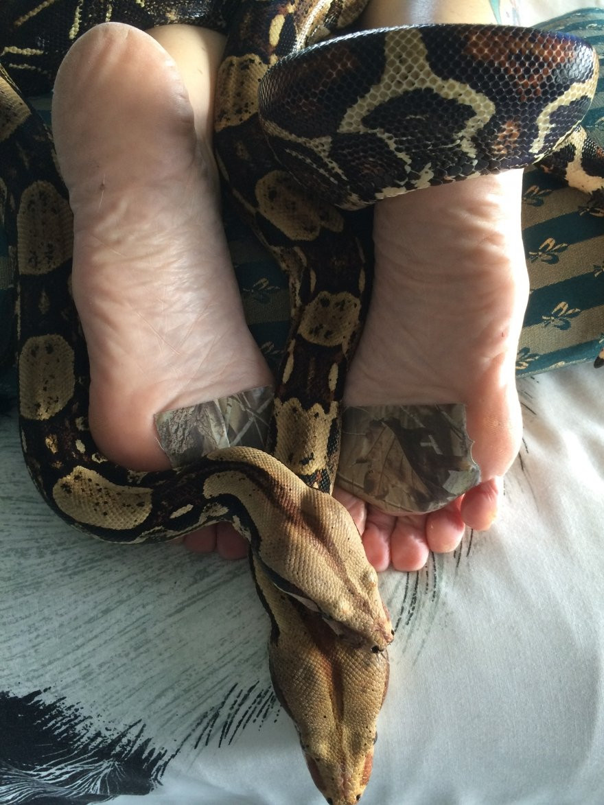 img_1355_cb2e8429924f3 10