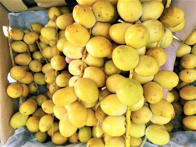 Chà là tươi nguyên cành bỗng nhiên gây sốt thị trường - Ảnh 2.