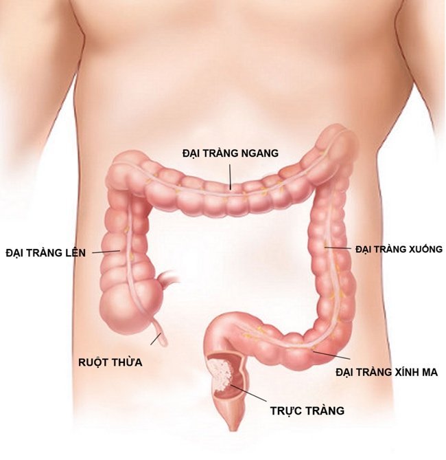 Bất ngờ trước những bộ phận 'mềm yếu' nhất của nam giới