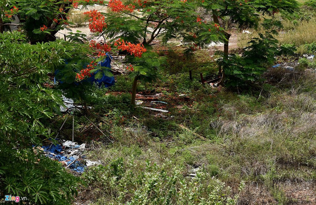 Co dai phu kin o hai du an nghin ty tren 'dat vang' Quy Nhon hinh anh 8