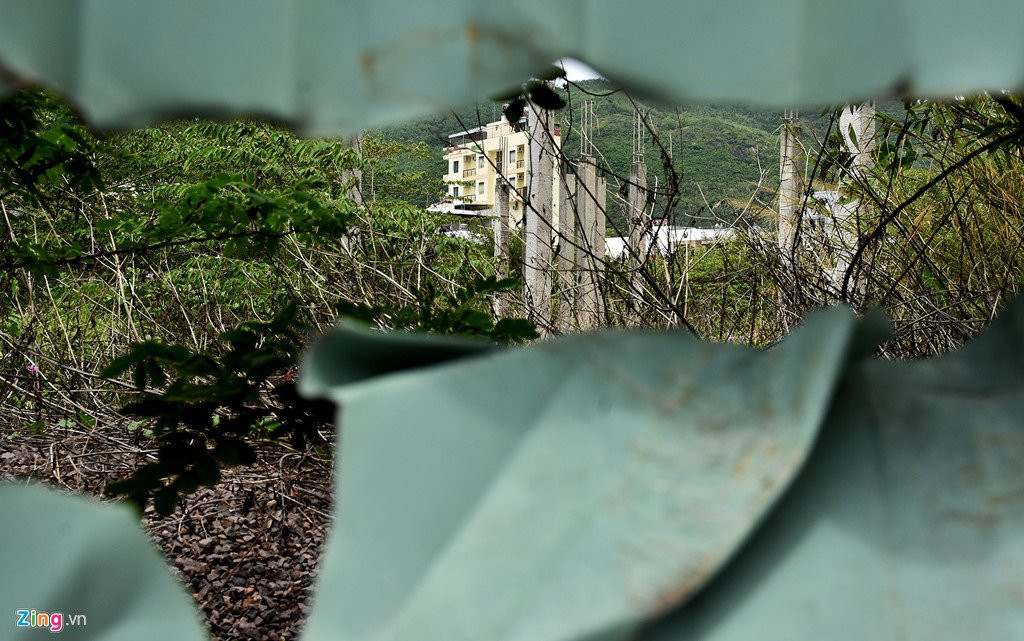 Co dai phu kin o hai du an nghin ty tren 'dat vang' Quy Nhon hinh anh 4