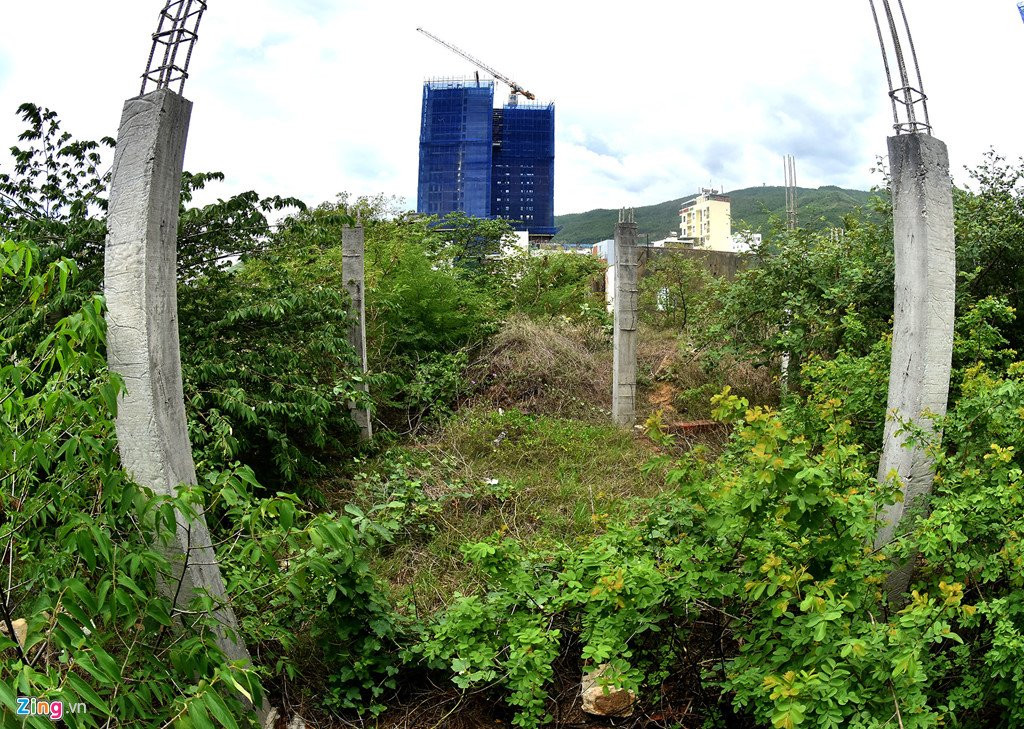 Co dai phu kin o hai du an nghin ty tren 'dat vang' Quy Nhon hinh anh 5