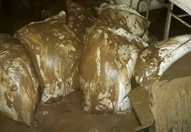 Lu ap ve 3 diem truong, de doa hon 1.000 hoc sinh hinh anh 1