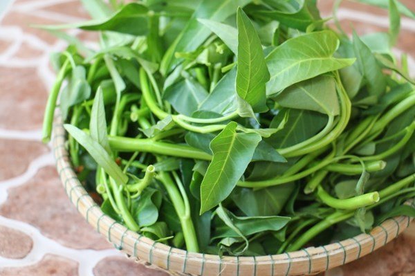 Phân biệt rau muống 'ngậm' hóa chất chỉ nhờ đặc điểm dễ nhận thấy này 0