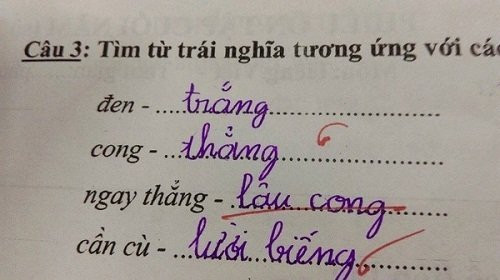  Trái nghĩa với ngay thẳng... 