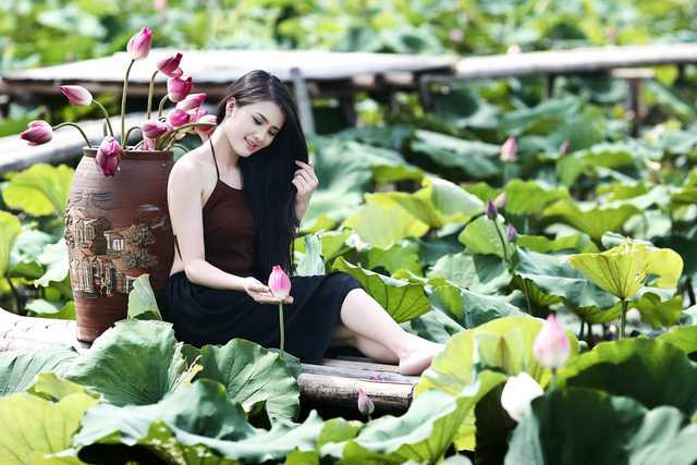 hoa-khoi-van-hoa-khanh-chi-dam-tham-ben-sen-dau-mua (3)