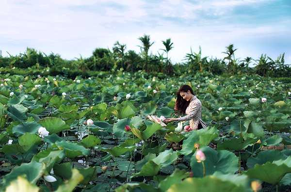 nu-sinh-truong-hang-hai-e-ap-ben-dam-sen-dat-cang (3)