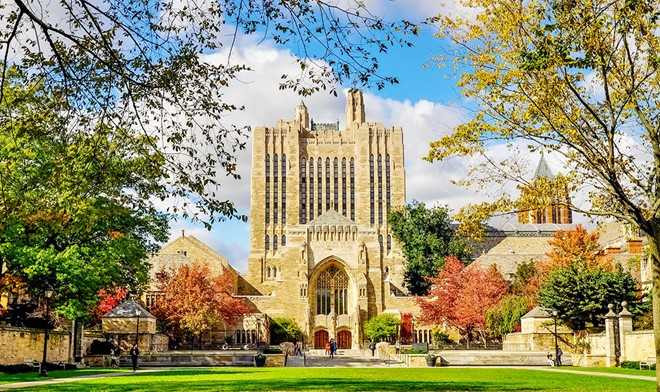 Nhung cai noi dao tao ty phu cua the gioi hinh anh 7