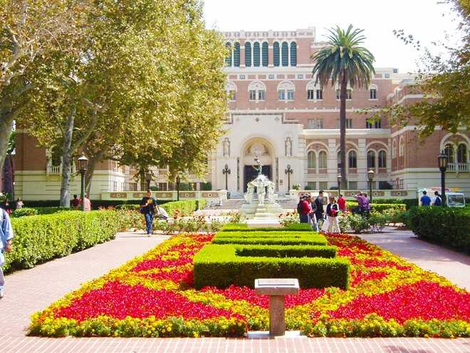 Nhung cai noi dao tao ty phu cua the gioi hinh anh 8