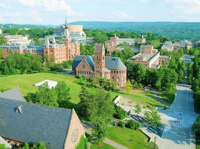 Nhung cai noi dao tao ty phu cua the gioi hinh anh 6