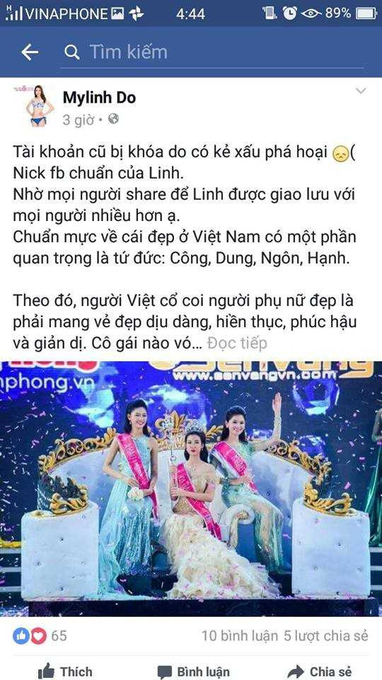 Xuat hien hang loat facebook mao danh tan Hoa hau VN 2016 hinh anh 2