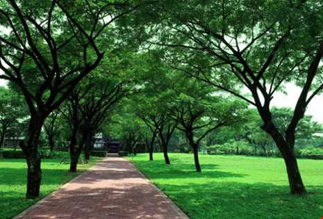 Ngôi trường có cơ sở vật chất sang chảnh nhất TP.HCM - ảnh 6